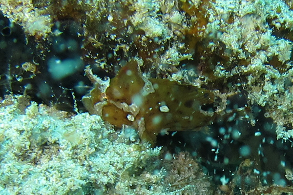 b0062363_167584.jpg