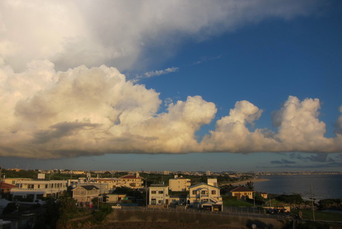 c0153966_19531221.jpg