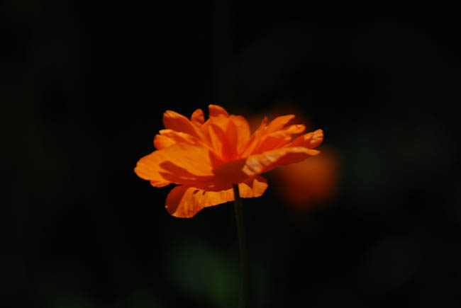 c0094572_9461346.jpg