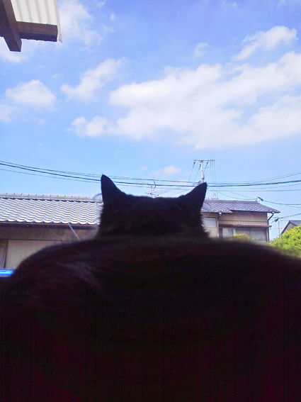 e0322577_044631.jpg