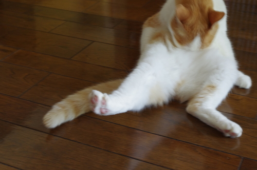 f0054677_73552.jpg