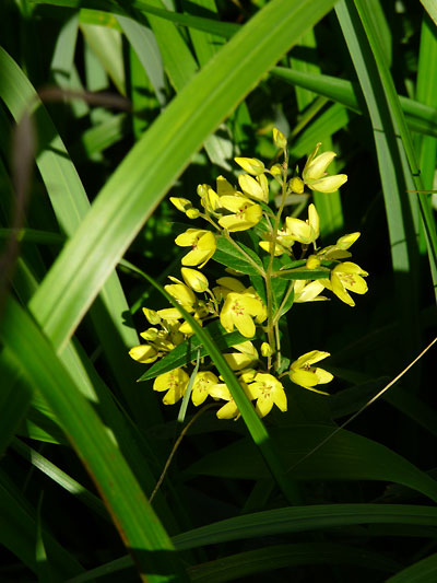 c0152779_23334119.jpg
