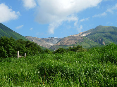 c0152779_2364066.jpg