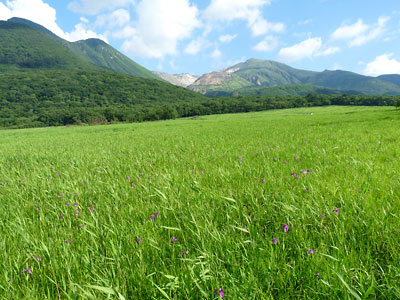c0152779_2371942.jpg