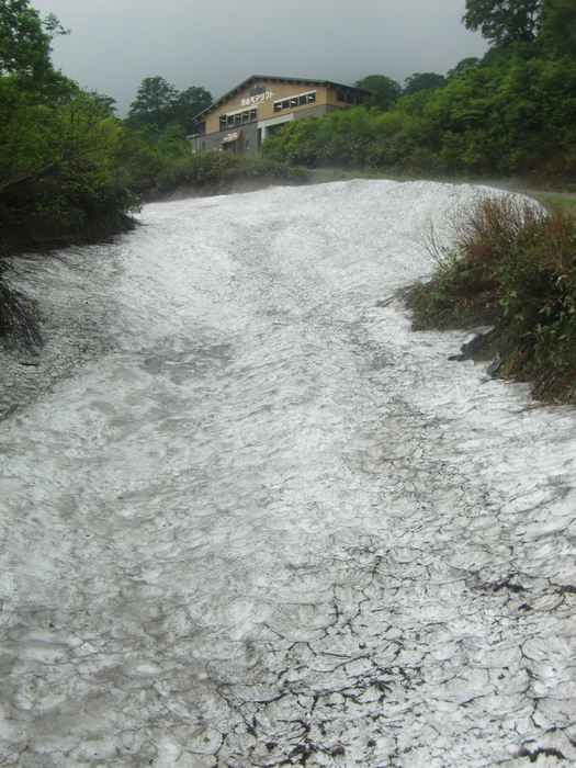 f0238779_7554490.jpg