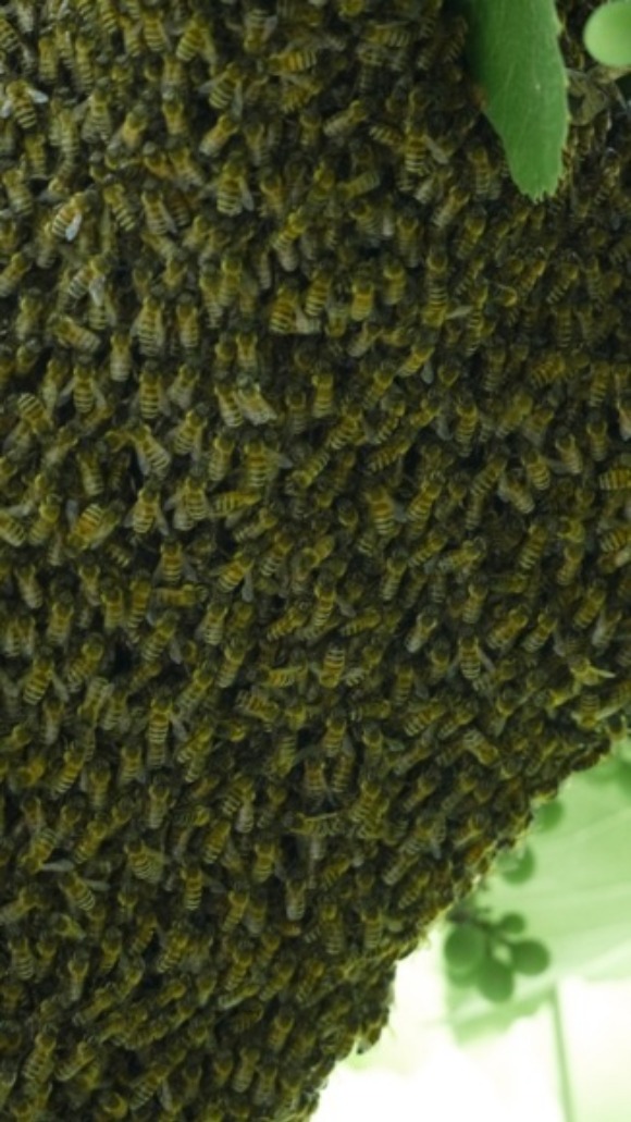 a0278382_1855581.jpg