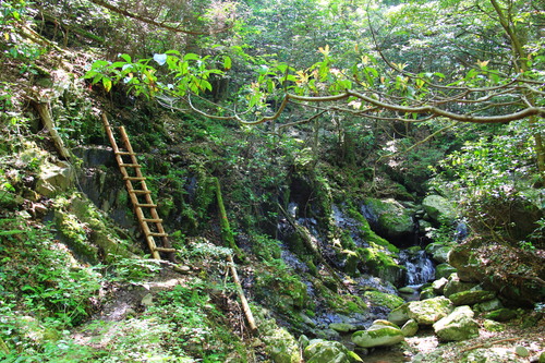 b0286982_827918.jpg