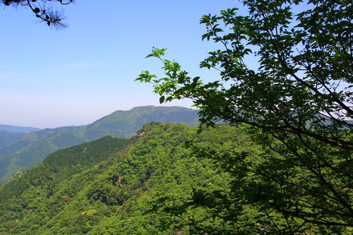 b0286982_8311932.jpg