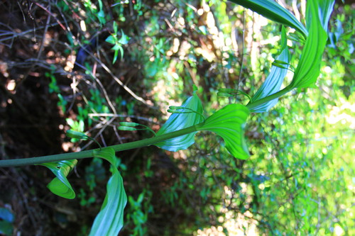 b0286982_8351353.jpg