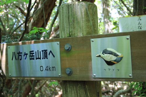 b0286982_8393985.jpg