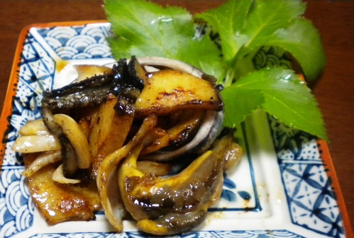 c0204385_1155761.jpg