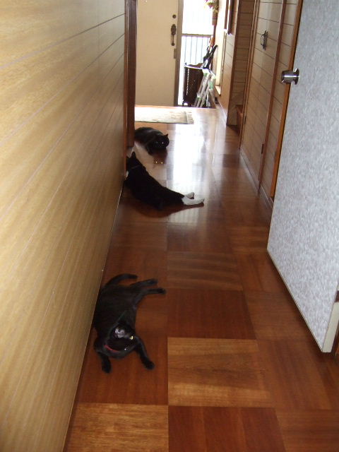 c0150193_16372356.jpg