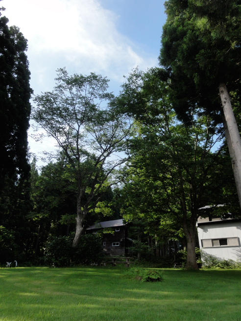 a0061599_7361712.jpg