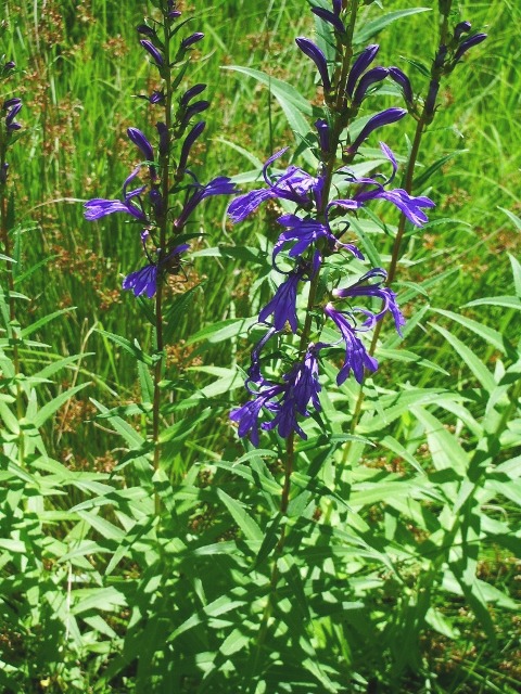 e0025300_2191062.jpg