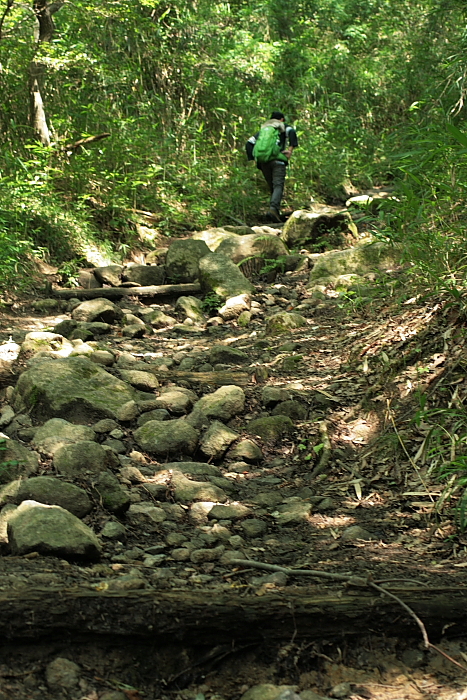 f0083400_22134678.jpg