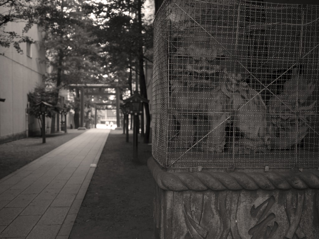 f0224100_5595613.jpg