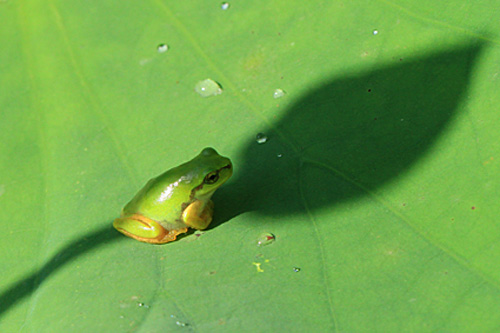 b0014607_12252938.jpg