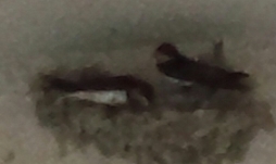 f0068511_037340.jpg