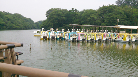 d0113613_1241922.jpg