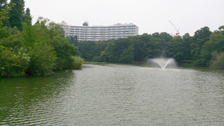 d0113613_124241.jpg