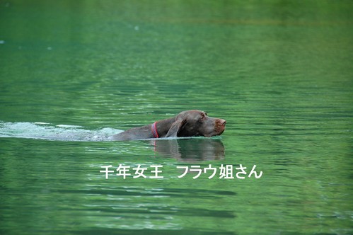 e0204314_10122332.jpg