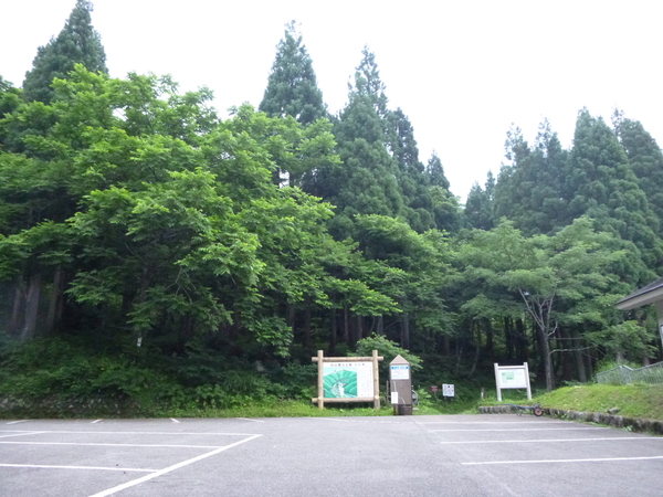 d0170615_10191948.jpg