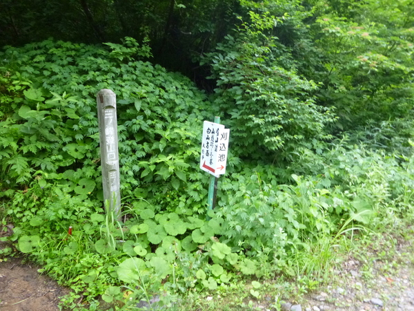 d0170615_10193215.jpg