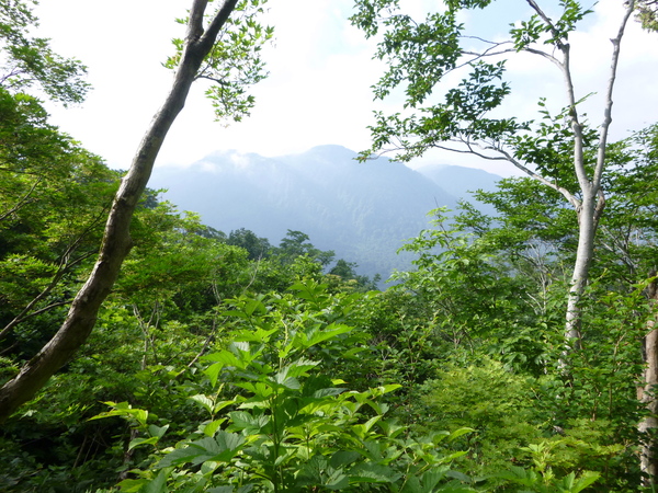 d0170615_10195735.jpg