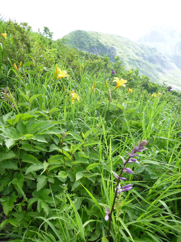 d0170615_10221332.jpg