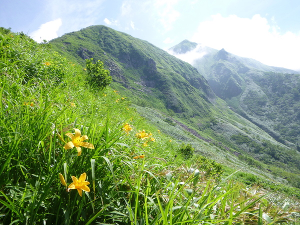 d0170615_10222598.jpg