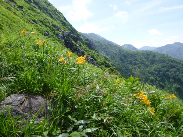 d0170615_10223547.jpg
