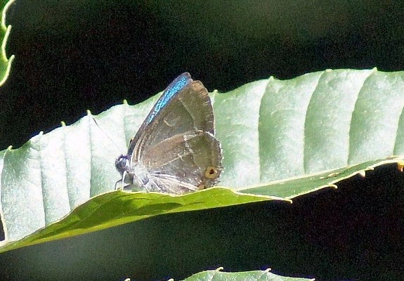 c0042418_840651.jpg