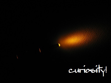 a0078020_3153394.jpg