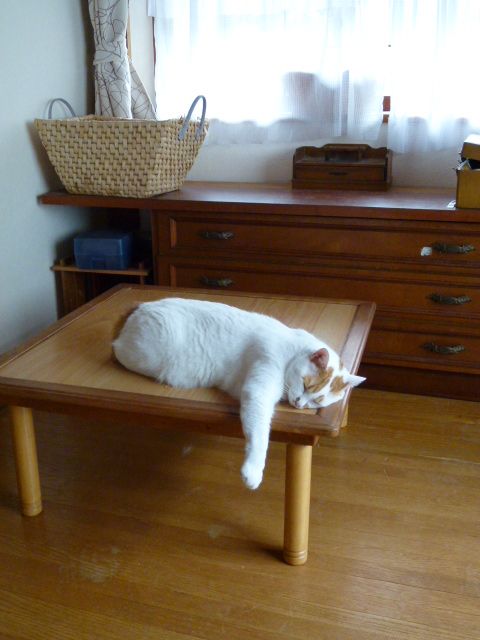 c0013922_1053420.jpg