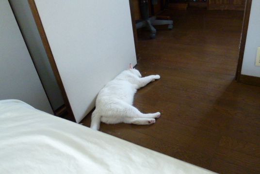 c0013922_105542.jpg