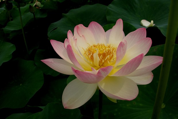 f0231422_10132451.jpg