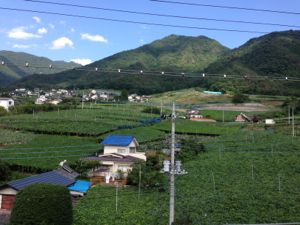 d0107326_21184047.jpg