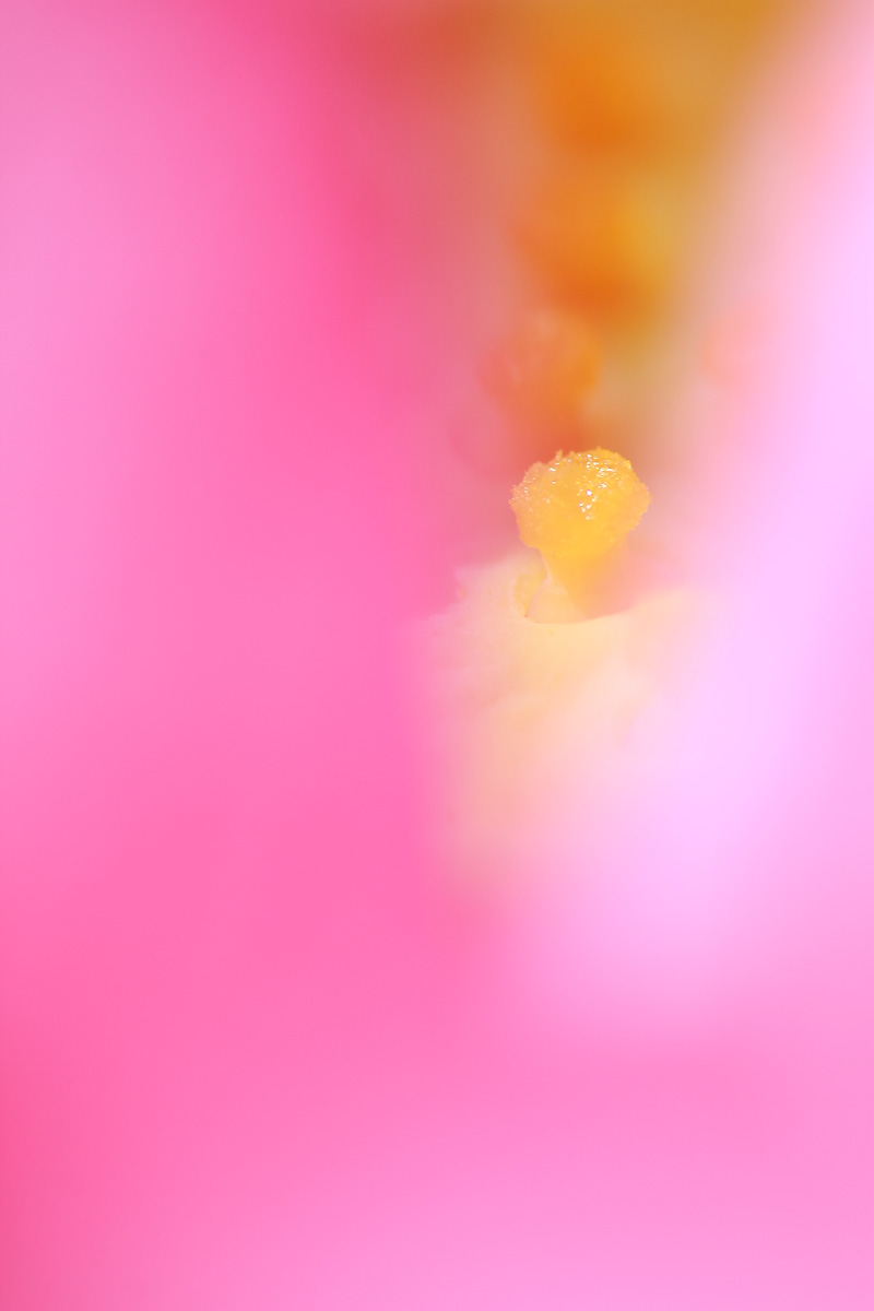 b0222029_19211591.jpg