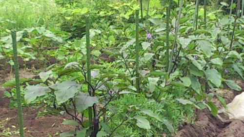 c0300035_15403992.jpg