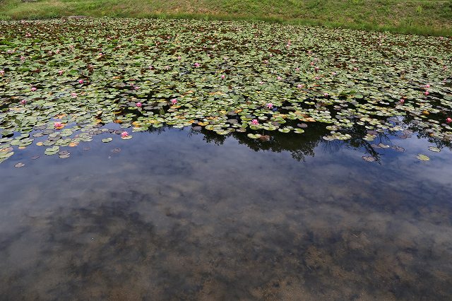 a0242438_1942743.jpg