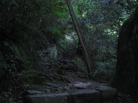 c0077338_936149.jpg
