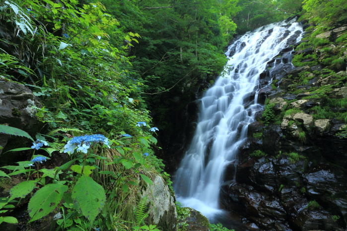 c0253439_02345100.jpg