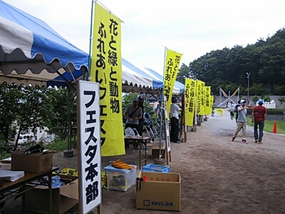 a0292043_16261992.jpg