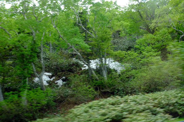c0048265_19193639.jpg