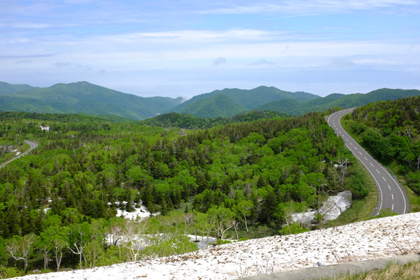 c0048265_1920423.jpg