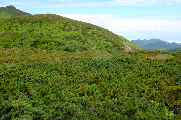 c0048265_19221759.jpg