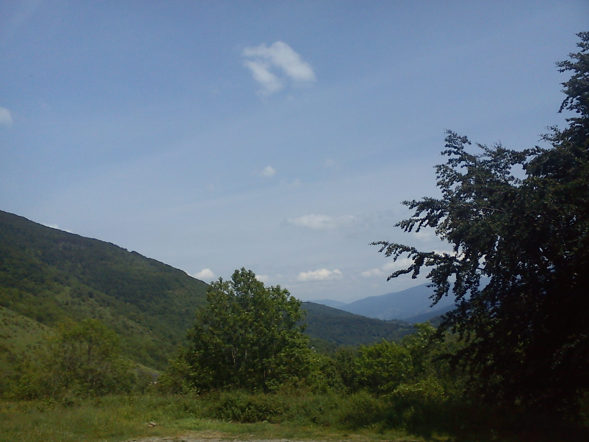f0241468_2120298.jpg