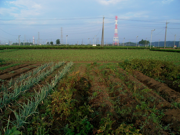 d0225575_13344617.jpg