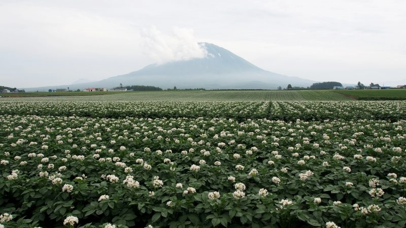 c0183777_10183186.jpg