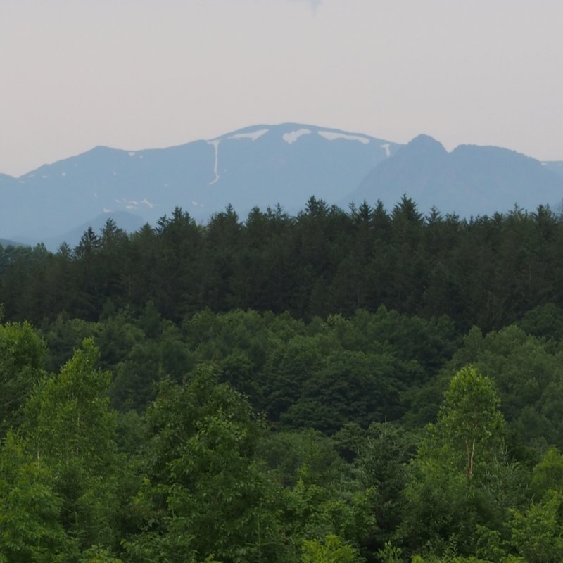 c0183777_655392.jpg